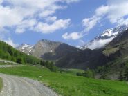 in vista dei colli a sinistra,a destra il Velan