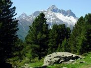 versante nord del pelvo d'elva