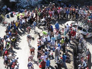 Arrivano! Bravi ragazzi!