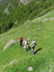 in salita sui dossi erbosi verso l'alpe Seivaz