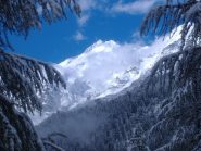 Bernina al mattino