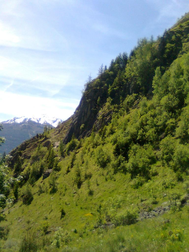 Un profilo della falesia