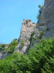 la Torre