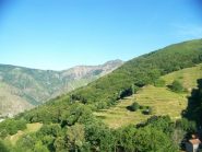 sopra Fiorino