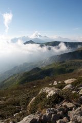 vista dalla torretta