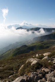 vista dalla torretta