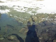 la parete ovest ribaltata nel lago