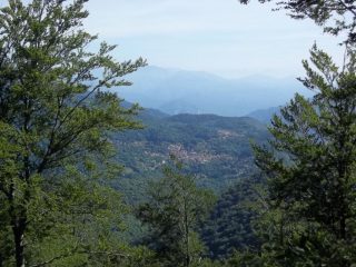 Quarna
