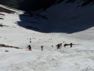 la carica dei 101........