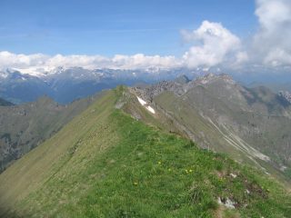La cresta verso il Dosso della Torta percorsa dal sentiero 420