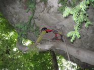 pianta di partenza