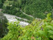 Mirtilli maturi in alto 