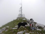Pucci fa uno spuntino sulla cima...anche lei disdegna l'ammasso di tecnologia lì vicino e preferisce gli ometti di pietre