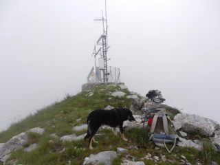 Pucci fa uno spuntino sulla cima...anche lei disdegna l'ammasso di tecnologia lì vicino e preferisce gli ometti di pietre