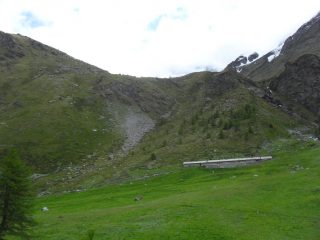 i bastioni sopra la stalla......