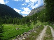 Al piano della Regina