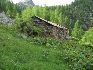 Alpe Vieille