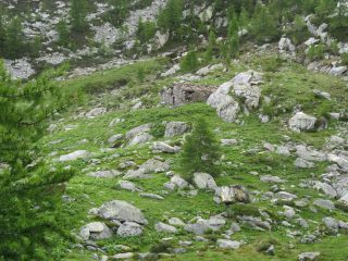 Alpe Buriana Damon