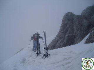 arrivo in punta