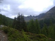 Alta val Malvaglia