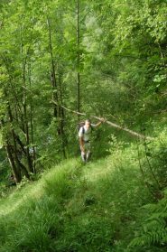 boscaglia da machete