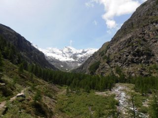 01 - la stradina è già finita ma la valle è ancora lunga