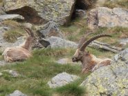 12 - ai casolari dell'Herbetet