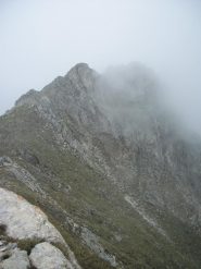 ....tra la nebbia...