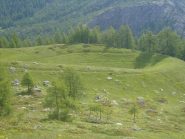 c'era per caso un lago?