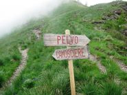 Palina indicatrice al bivio con il sentiero per le Camosciere