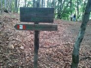 Al colle della Bessa
