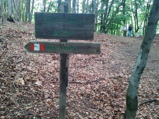 Al colle della Bessa