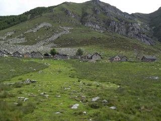 Alpe Bardughè1