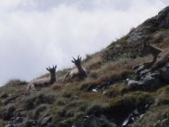 Famigliola al tiepido sole