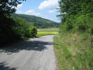 salitella