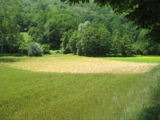 colori