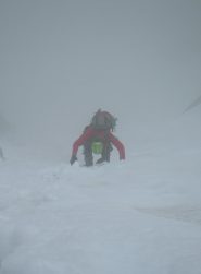 la morsa della nebbia ogni tanto stringe
