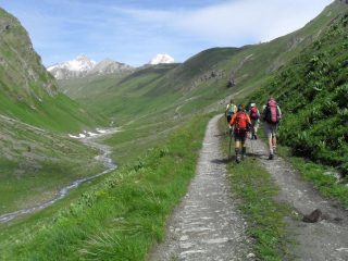 proseguendo nel vallone ,sullo sfondo  la Trelatete e il Glacier