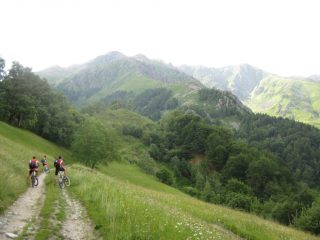 guardando la bisalta