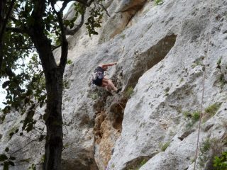 aldo su incidente probatorio