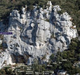 mappa vie