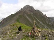 Il Salè visto dal Colle Serour