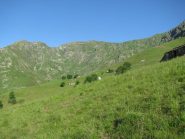 Quinzeine e Bersella da Vasivressa