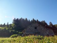 Alpe Selvaccia