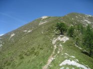il pendio finale e la cima dal colle/passo della Margineta