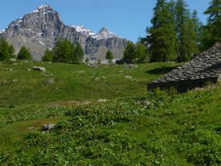 all'alpe gran ciavana