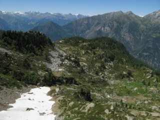 Col de Portola (2a depressione a dx fra i pini), a dx del nevaio bivio n.3 e n.1