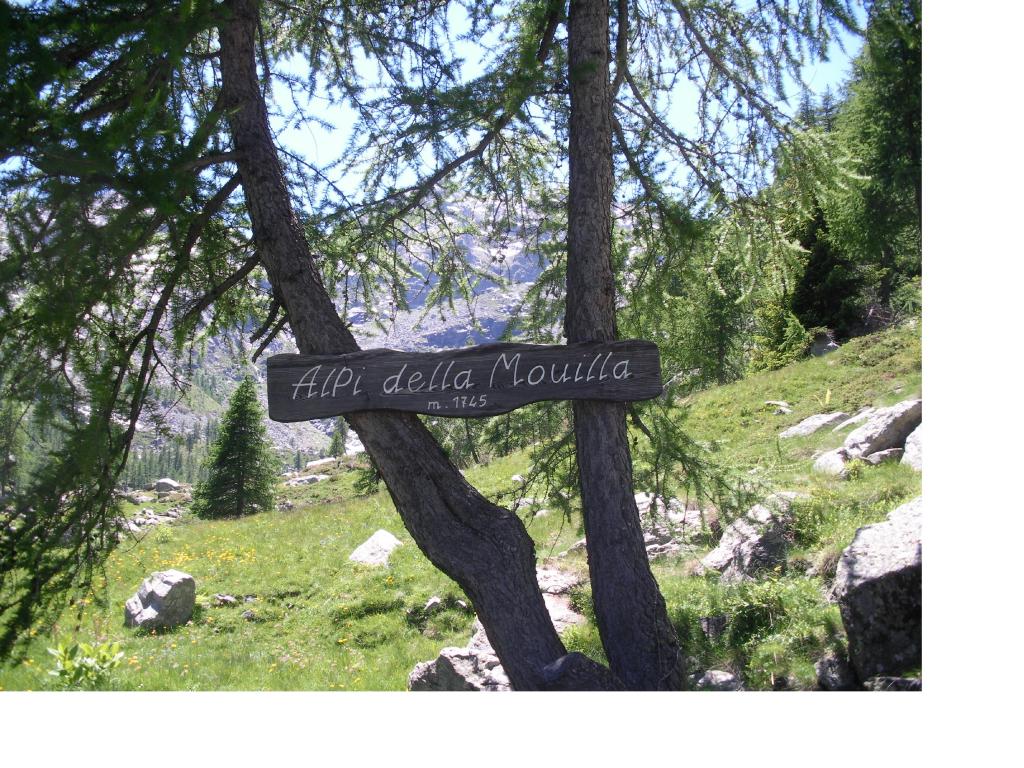 Alle Alpi della Moula