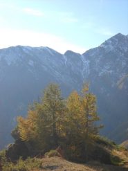 Col Fautet da alpe Culubrusa (Villanova)