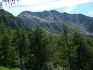 il Barbeston dalla alpe Toule